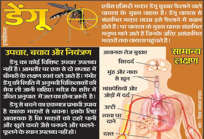 डेंगू के प्रथम अवस्था के लक्षण